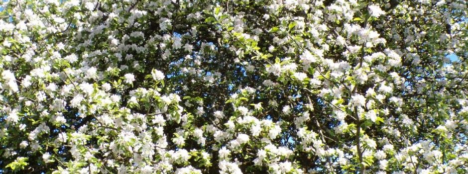 Was draus geworden ist