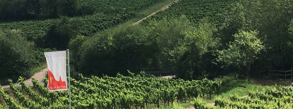 Der Rote Hang – Wein, wandern, genießen