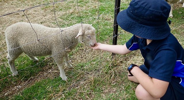 Tiere erleben mit Kindern in Augsburg
