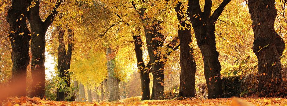 Gründe, warum wir uns auf den Herbst freuen