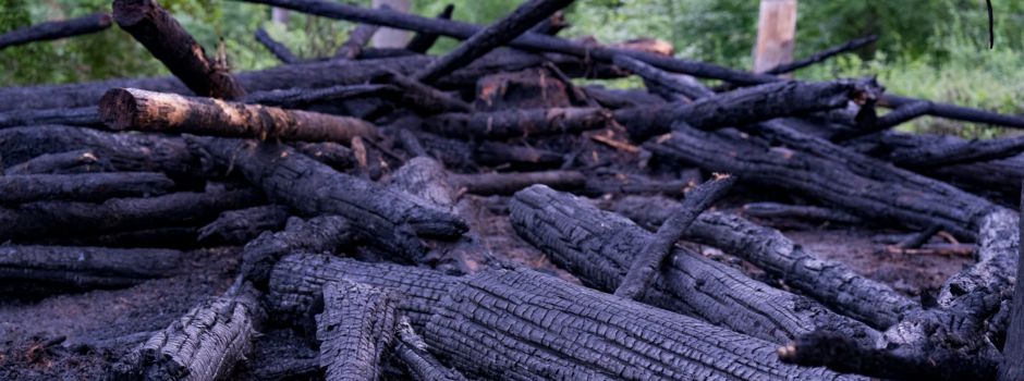 Waldbrand bei Wiesbaden: Feuerwehr im Großeinsatz