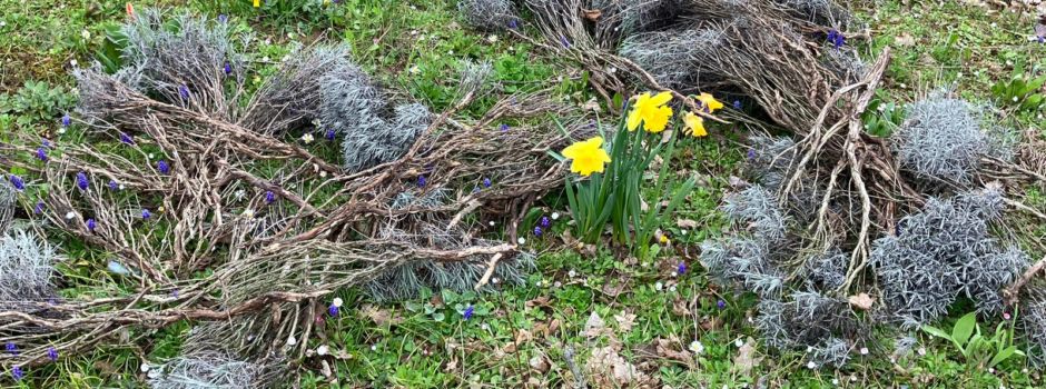 Erneut Vandalismus in Mainz-Finthen