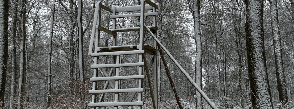 Bewegungsjagd am 18. Januar