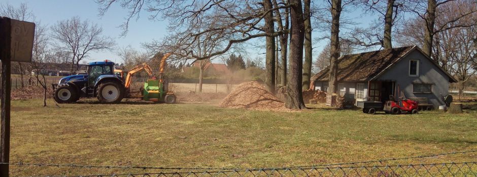Anzeige: MW Baumfällung - schnell, sicher, sauber