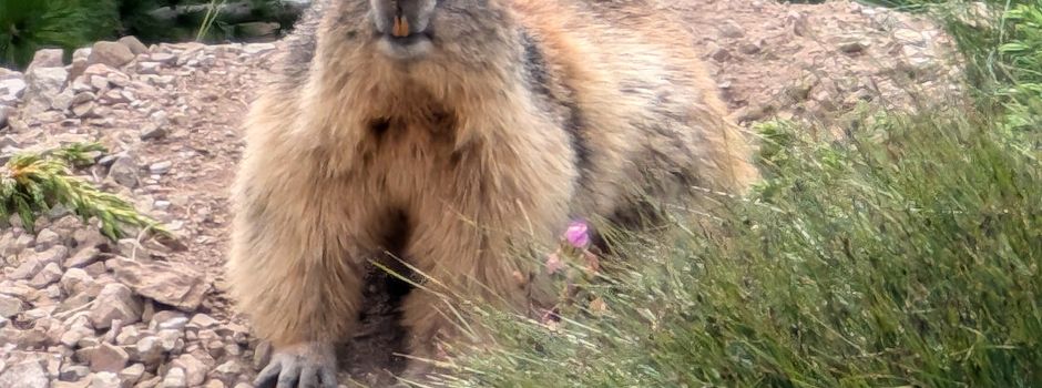 Vortrag am 24.10. abgesagt!