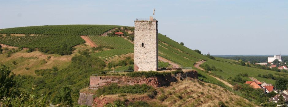 Schwabsburger Schlossturm bleibt vorerst geschlossen