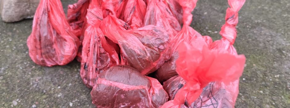 Kackbeutel-Schnitzeljagd