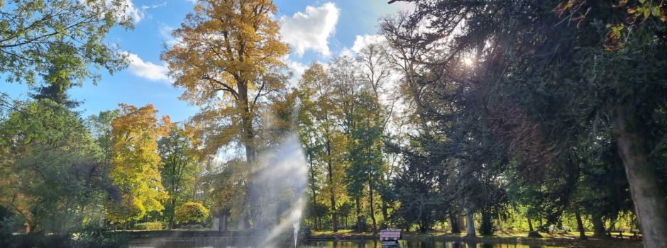 Baumarbeiten im Schlosspark
