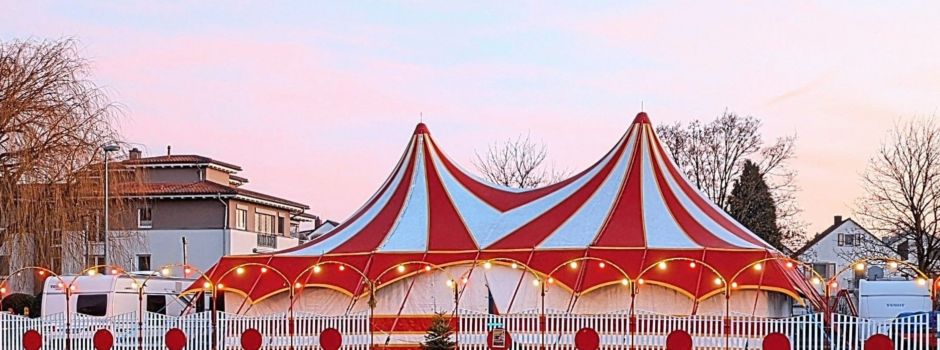 Circus Francesco gastiert auf der Kulturhallen-Wiese