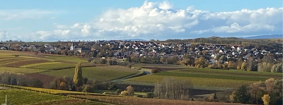 Baumpflanzaktion der Grundschule Partenheim