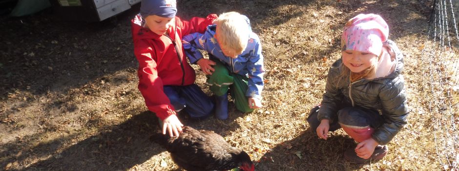 Ei der Daus: Hühner in der Kita