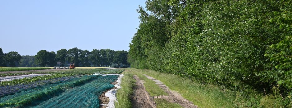 Wanderung des Heimatvereins Herzebrock: Unterwegs am Mühlenfeld in Quenhorn