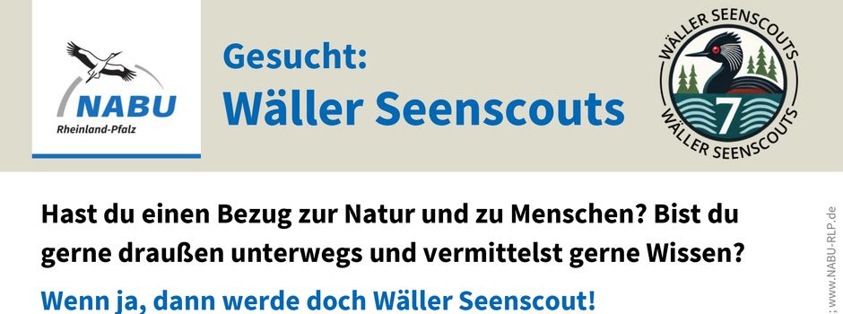 Gesucht: Wäller Seenscouts
