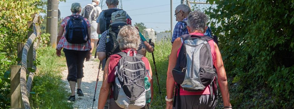 Mittwochswanderung Höhfröschen
