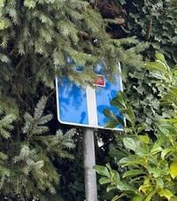 Verkehrssicherungspflicht von Grundstückseigentümern