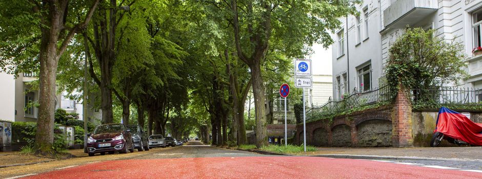 Schlechte Noten für Wiesbaden: Radfahrer fühlen sich unsicher