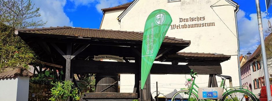 Weltoffener Genuss: Festweinprobe eröffnet das Oppenheimer Weinfest