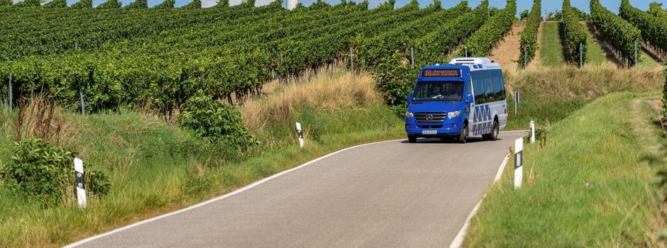 Zu enge Straßen: Busse in der VG Rhein-Selz werden jetzt kleiner