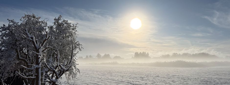 Gewinner des Fotowettbewerbes steht fest