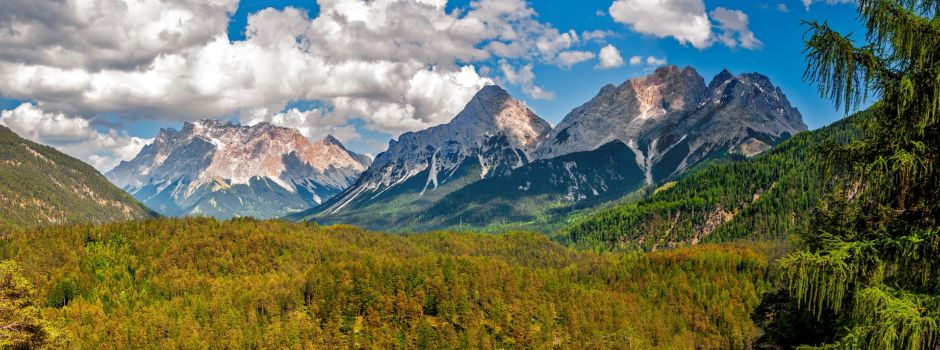 Ab in die Natur: 49-Euro-Ticket für Tagesausflüge