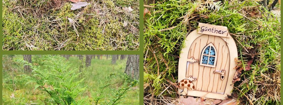 Wichtel im Moraaser Wald