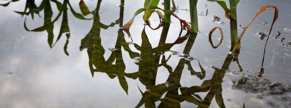 EU-Kommission will 90 Prozent weniger Emissionen bis 2040