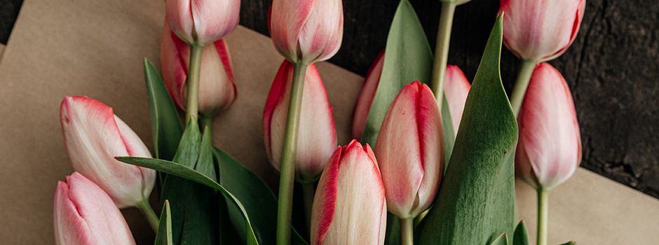 Slowflowers aus Egestorf 
