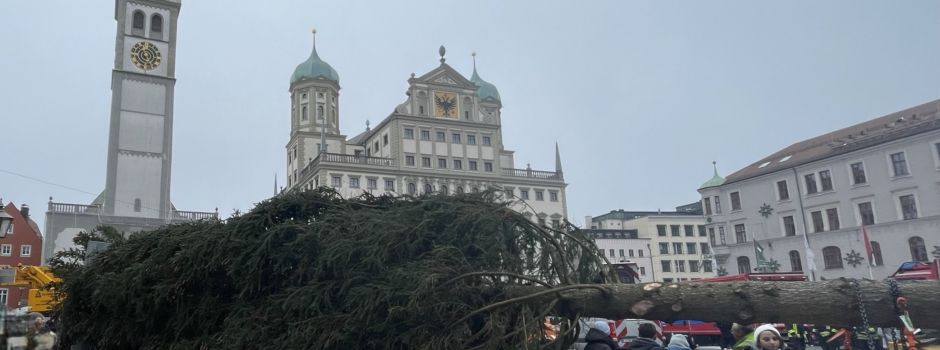 Alle Jahre wieder: Der „Christbaum für Alle“ 2024