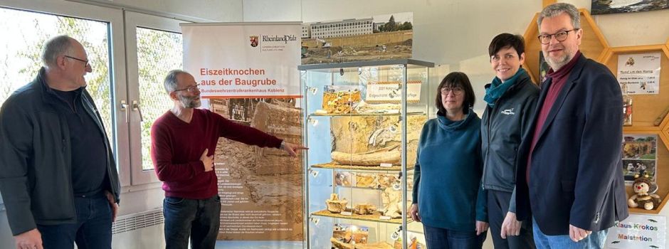 20.000 Jahre alter Mammutknochen aus Koblenz ab sofort ausgestellt