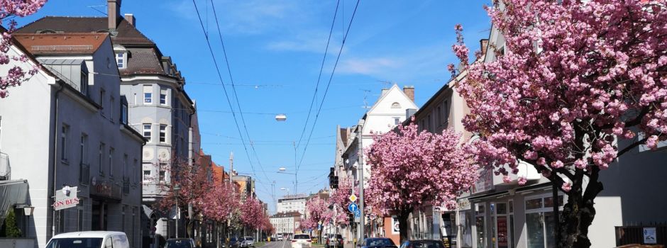Wochenende in Augsburg mit Kirschblüten- & Streetfood-Festival