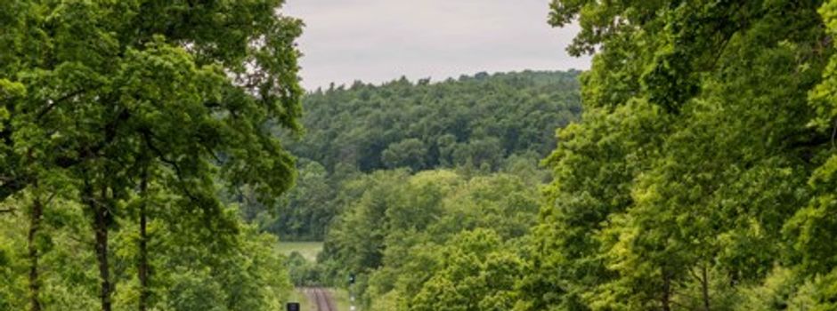 Sperrung der Bahnübergänge im OT Fürstenwald