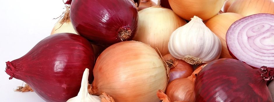 Kochkurs „Alles Zwiebel, oder was?!“