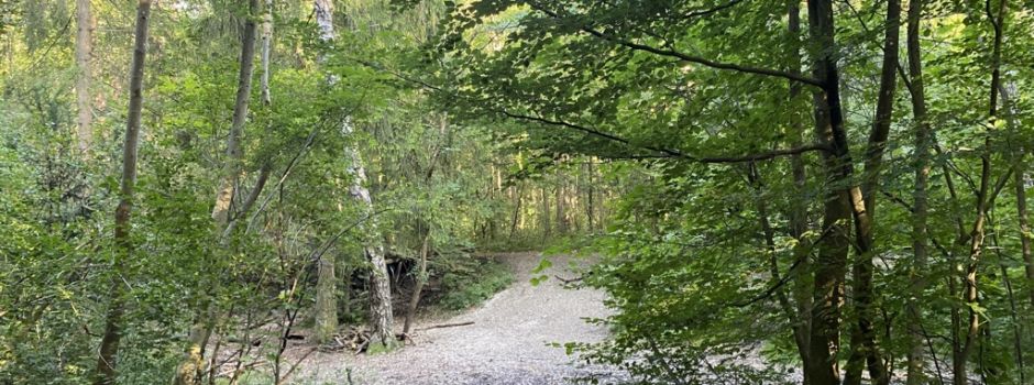 Ausflug in den Siebentischwald: 5 Tipps für Familien mit Kindern