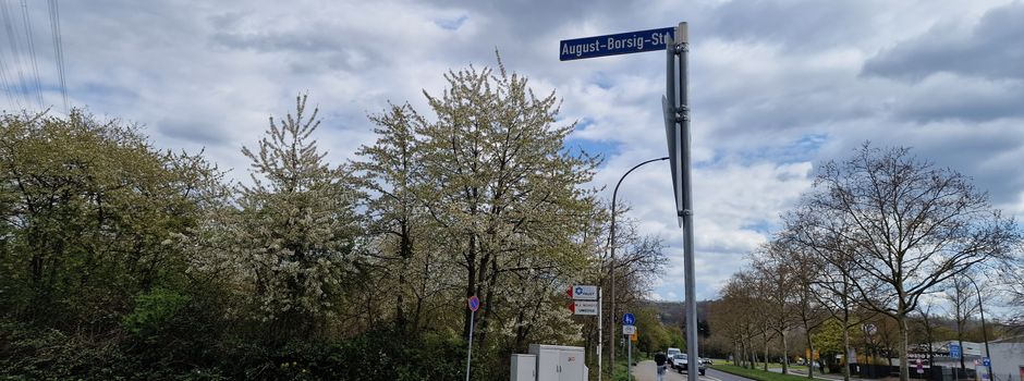 Sporthalle oder Biotop in Wallersheim: CDU Koblenz und Naturschützer streiten