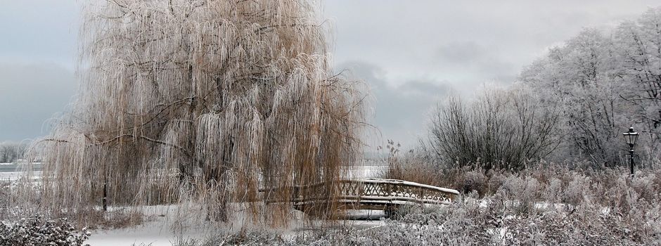 Schweriner Vorweihnachtszeit 