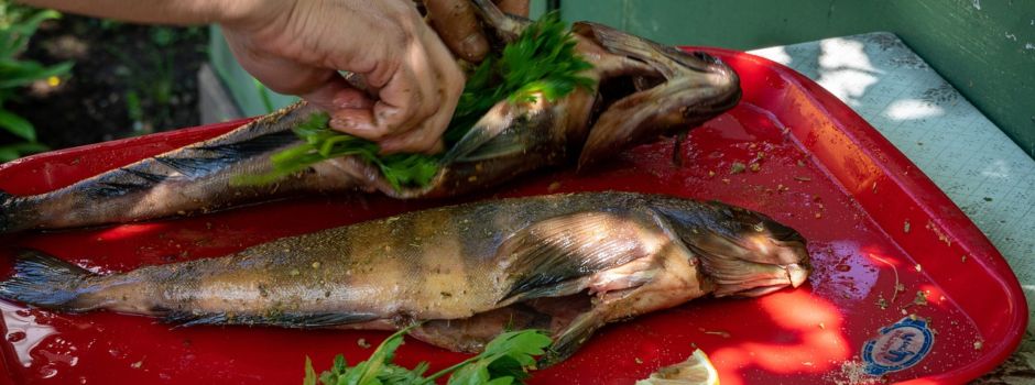 Seniorenessen am 08.08.2024