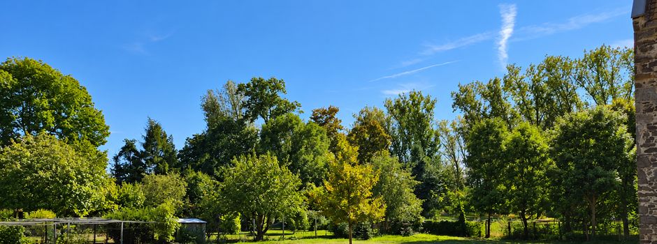 🌳 Neue Baumgräber für den Friedhof in Hillersleben-Dorf
