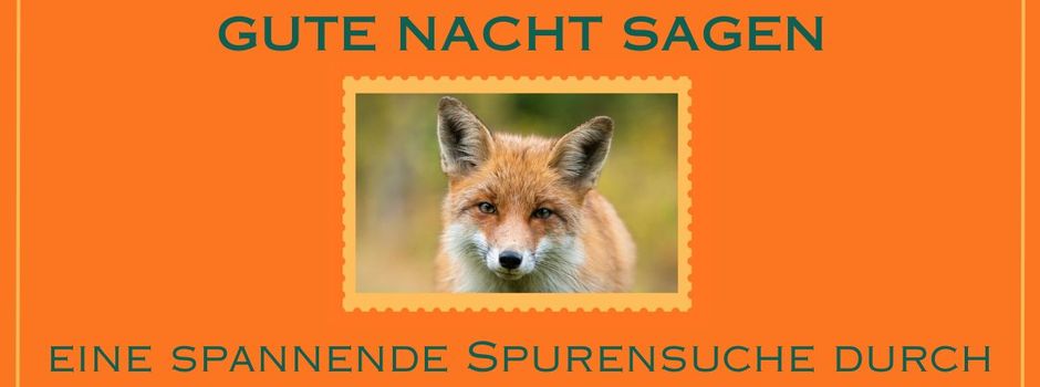 Wo sich Fuchs und Wildkatze Gute Nacht sagen