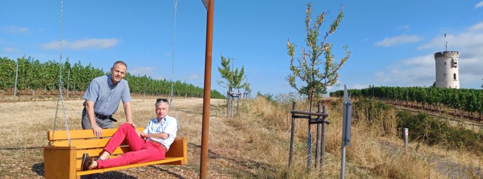 Nierstein erhält eine Weinbergsschaukel