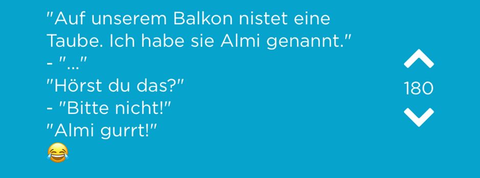Eine Taube Namens Almi– die Jodel der Woche