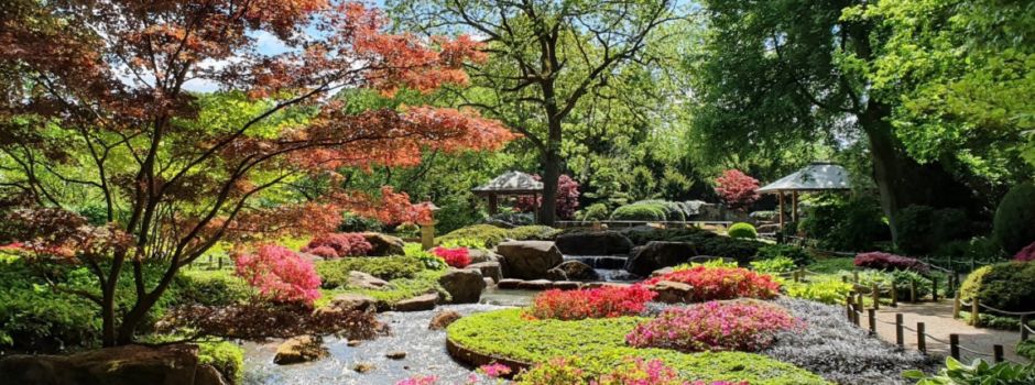 Sommer im Botanischen Garten Augsburg
