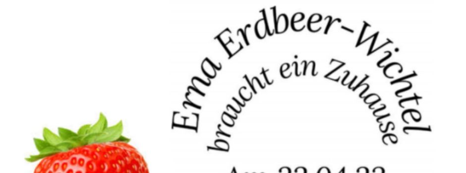 Erna Erdbeer-Wichtel braucht ein Zuhause