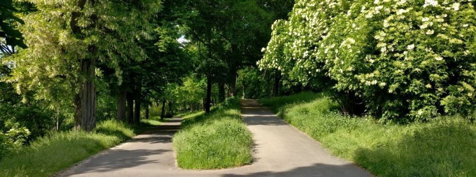 Mann bedroht Spaziergänger in Mainz mit Messer