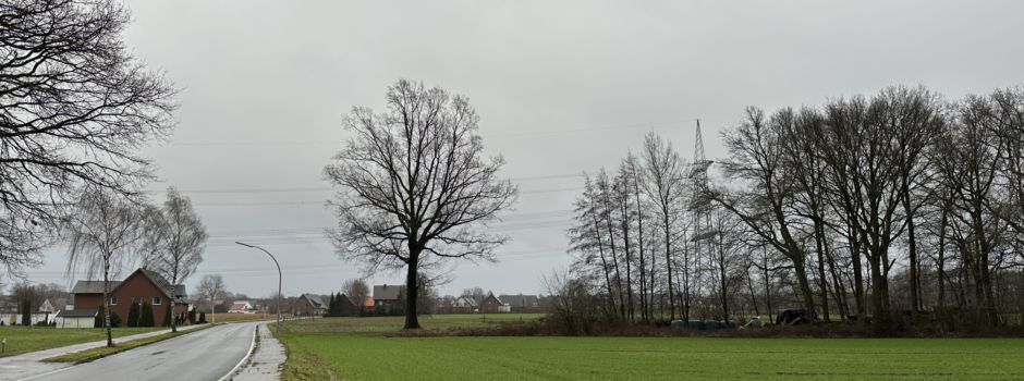 Neubaugebiet Herzebrock: 495 Bewerbungen auf 74 Grundstücke