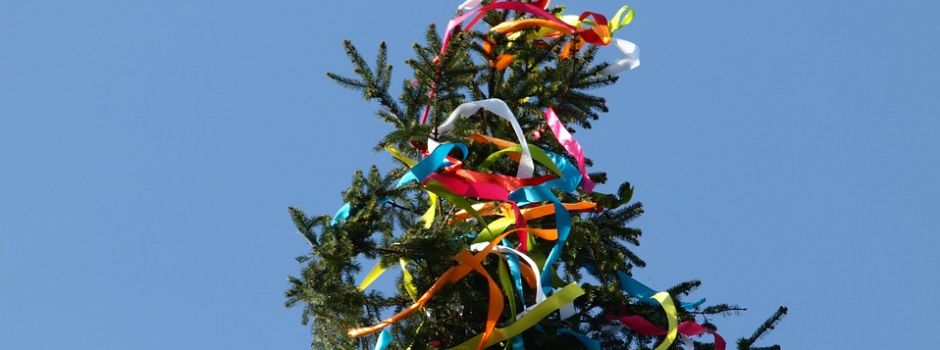 Maibaum stellen 2024