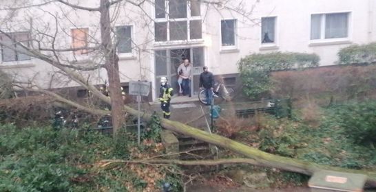 Sturm „Zeynep“: 17 Einsätze in Mainz