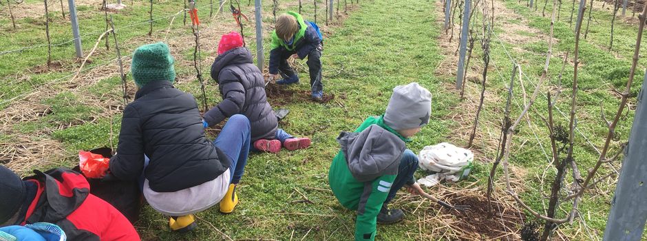 Erstmals nach Corona wieder Kinderwingert in Nierstein