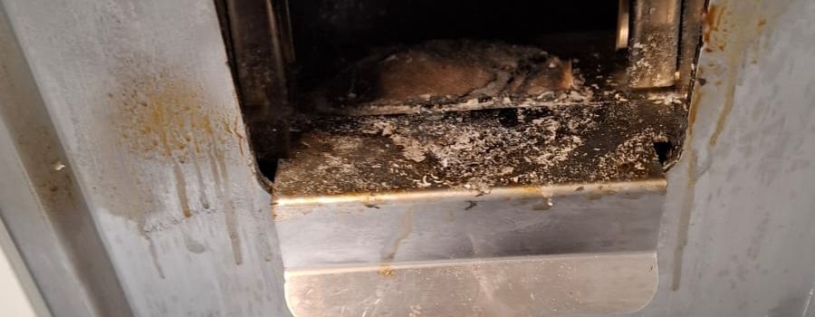 Vandalismus am Bahnhof: WC-Haus wird ein paar Tage vorsorglich geschlossen