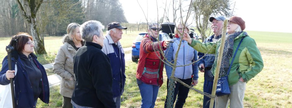 Harmonisches Gesamtbild für Obstbäume