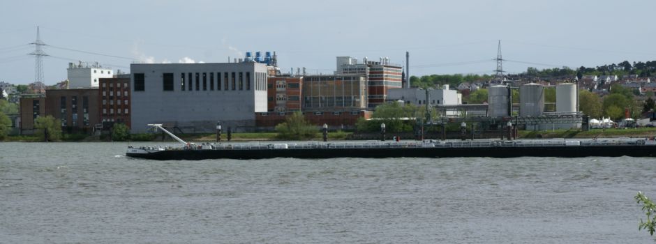 Klo-Krach zwischen Biergarten und Weinstand am Rheinufer